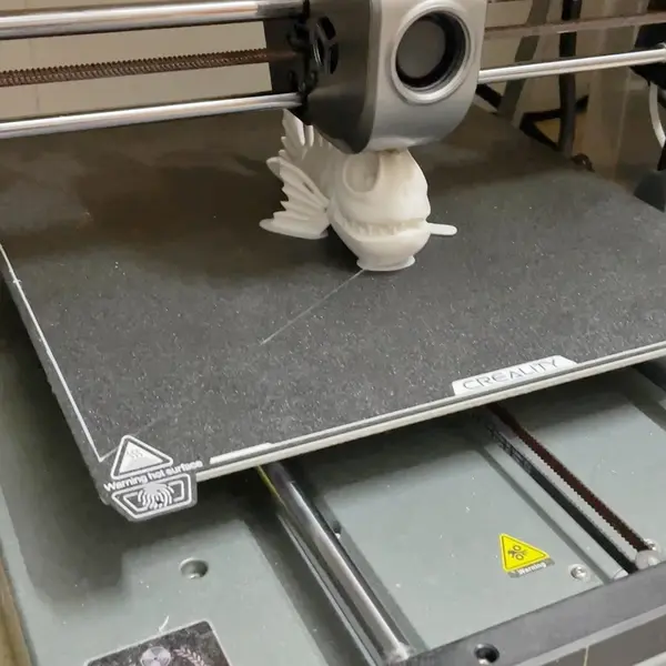3D printing fish model