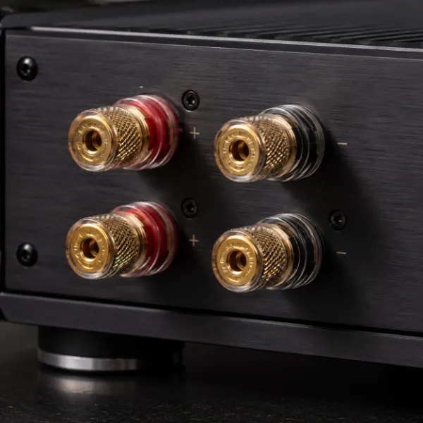 Gold-plated binding posts on an audio amplifier